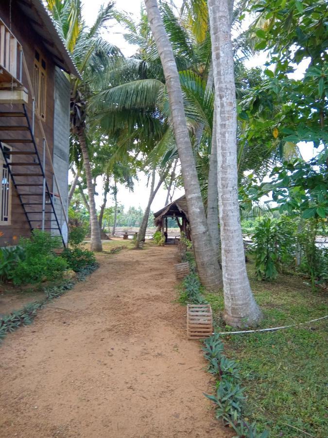 Coconut Island Yala Safari Place Tissamaharama Eksteriør bilde