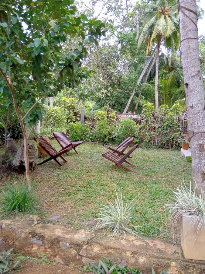 Coconut Island Yala Safari Place Tissamaharama Eksteriør bilde