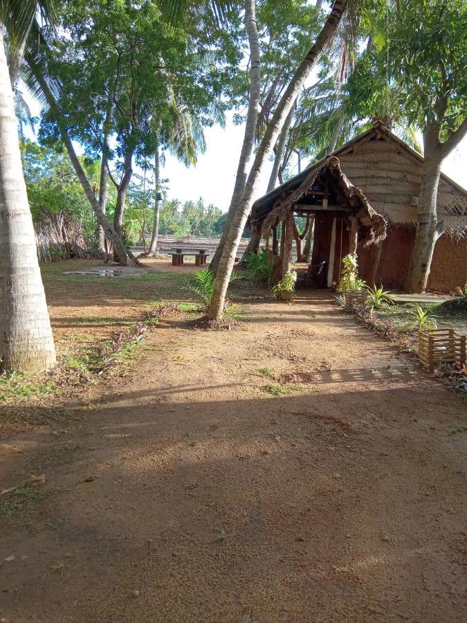 Coconut Island Yala Safari Place Tissamaharama Eksteriør bilde