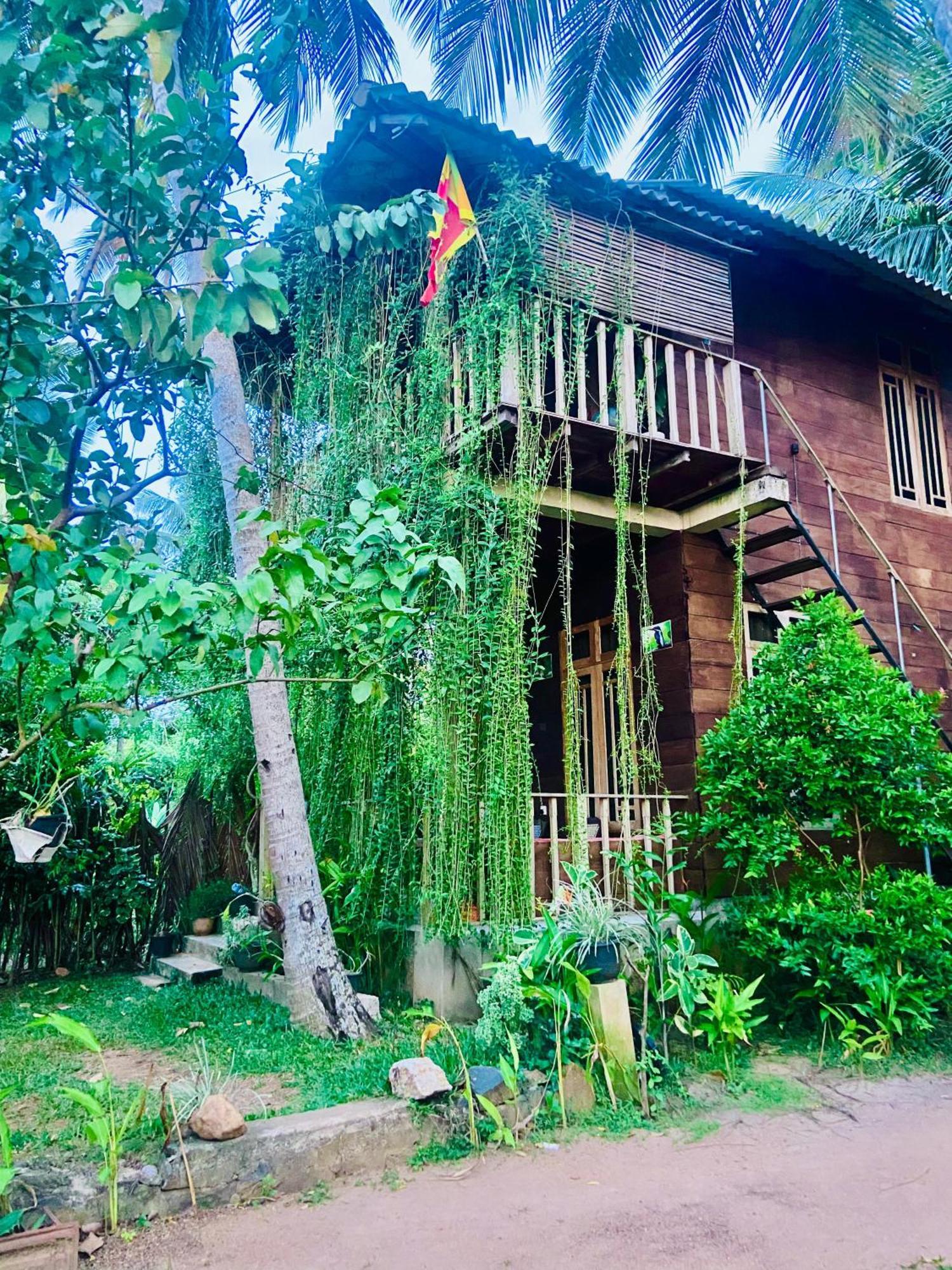 Coconut Island Yala Safari Place Tissamaharama Eksteriør bilde