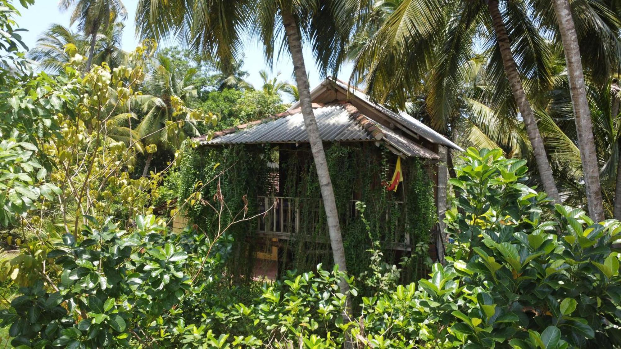 Coconut Island Yala Safari Place Tissamaharama Eksteriør bilde